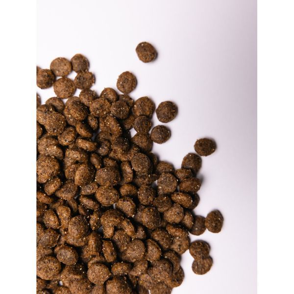 Корм сухий Savory Small Breed rich in Fresh Turkey and Lamb для дорослих собак малих порід зі свіжим ягням та індичкою 1 кг 30341 фото