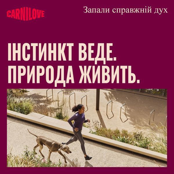 Корм вологий Carnilove Turkey & Reindeer & Wildboar для собак паштет індичка, оленина і дикий кабан 400 г 101387 фото