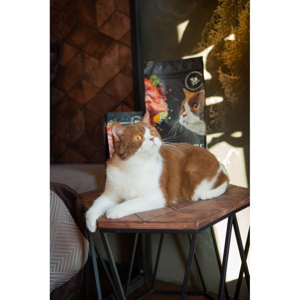 Корм сухий Savory Adult Cat Sensitive Digestion Fresh Lamb and Turkey для дорослих котів з чутливим травленням зі свіжою ягням 400 г 30075 фото