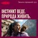 Корм вологий Carnilove Turkey & Salmon для кошенят паштет індичка і лосось 100 г 101390 фото 6