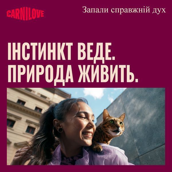 Корм вологий Carnilove Chicken, Duck & Pheasant для котів паштет курка, качка і фазан 100 г 101391 фото