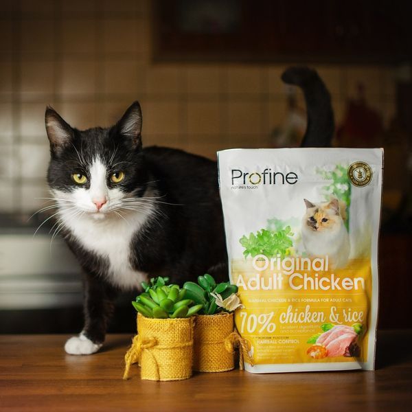 Корм сухий Profine Cat Original Adult для дорослих котів усіх порід з куркою та рисом 300 г 170565/7695***** фото