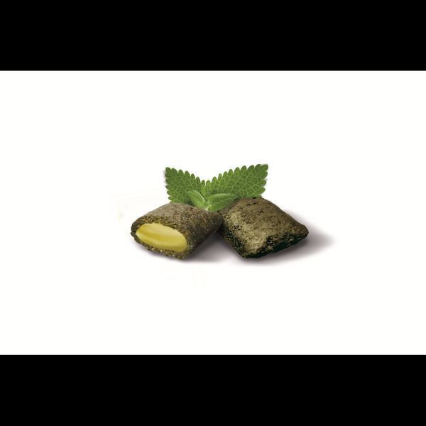 Вітамінні ласощі GimCat Nutri Pockets для котів для підвищення іммунітету з котячою м_ятою та мультивітаміном 60 г G-419282/400723 фото